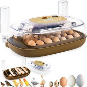 lot 9226 image: Ploomi 24-Egg Incubator with Auto Water Refill, Humidity Control
