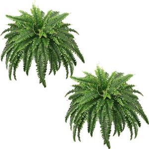 lot 9335 image: $49 FOREST PRINCE 45 Fake Ferns, 4-Pack UV Resistant Boston Ferns