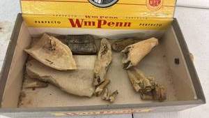 lot 81 image: Wm Penn Perfecto Cigars Box with fossil Contents