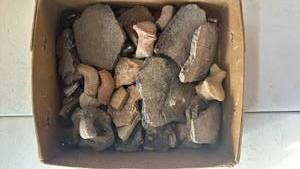 lot 92 image: Box Lot of Rock and Pottery Shard Specimens with Individual Labels