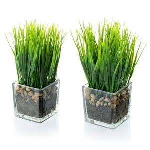 lot 284 image: MyGift Artificial Grass Plants in Modern Square Clear Glass Pots with Faux Pebbles and Soil, Decorative Potted Greenery Plant in Tabletop Planter, Set of 2 - Retail $28