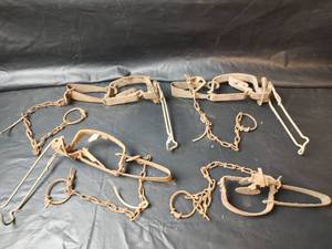 lot 570 image: Vintage Animal Traps