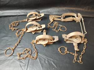 lot 571 image: Vintage Leghold Animal Traps