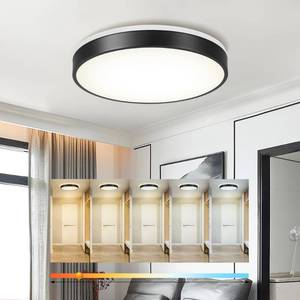 lot 18036 image: Ken & Ricky 16 Modern Flush Mount Ceiling Light��Black,1 Pack - Retail $63