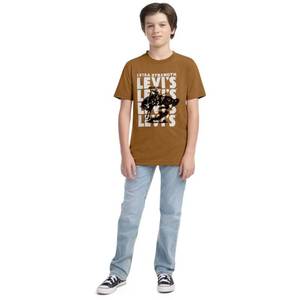 lot 12383 image: Levis� Boys Short Sleeve Western Graphic T-Shirt - Brown M - Retail $10