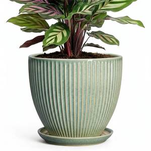 lot 1148 image: Wliror Ceramic Plant Pots, 6 Inch Ceramic Pots for Herb Snake Plants, Indoor Small Flower Pot with Drainage Hole and Saucer, Modern Round Planter, Room Office House Decor, Gardening Gifts, Green