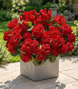 lot 2204 image: Artificial Geraniums Fake Flowers for Outdoors Decoration, 6 Bundles Silk Geraniums Red Flower UV Resistant Look Real Faux Plants for Front Door Garden Porch Planter Patio Balcony Yard Indoor Home