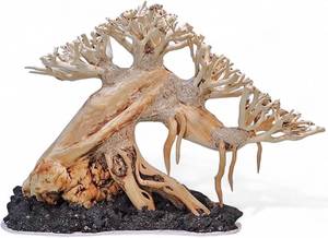 lot 4091 image: Azil Aquascape Bonsai Driftwood Tree 10 �� Premium Natural Aquarium Decor for Fish Tanks, Freshwater Aquariums, Hardscape & Planted Tanks