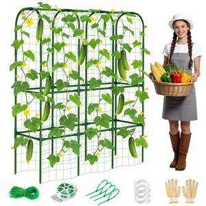 lot 11548 image: 62in Tall Cucumber Trellis for Raised Bed, 51 L x 62 H Metal Garden Trellis for Climbing Plants Outdoor, U-Shape Vegetables Trellis Support for Squash Zucchini Peas Grape