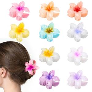 lot 12412 image: HAPTIME 10 Pack Flower Hair Clips, Beach Hair Accessories, Preppy Claw Clips, Plumeria Hair Clip, Hawaiian Claw Clips, Gifts for Women Teen Girls