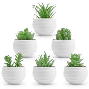 lot 20286 image: Der Rose 6 Pack Mini Fake Succulent Plants in White Pots for Room Decor