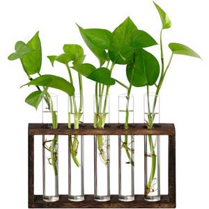lot 20304 image: XXXFLOWER 5Test Tube Plant Propagation Station Plant Terrarium Wooden Stand (Minor Damage)