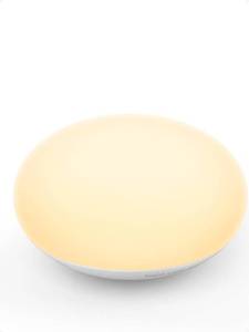 lot 20424 image: EASZZZ Baby Night Light, Nursery Night Lights for Breastfeeding, Soft BPA Free Silicone Touch Night Lamp, Eye Caring, Easy Flip Design, Stepless Dimming, 1-Pack (Charger Not Included)
