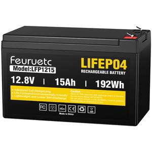 lot 2378 image: Feuruetc 12V 15Ah Deep Cycle LiFePO4 Battery, 3000 Cycles, Maintenance-Free Battery for Fish Finder, Scooter, Security System, Solar System, UPS etc Rechargeable Lithium Iron Phosphate