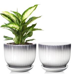 lot 5476 image: YUFDA Ceramic Plant Pots,6.7 Inch,Set of 2,Planters with Drainage Hole and Saucer,Flower pots for Indoor Plants,Modern Design(GrayWhite)