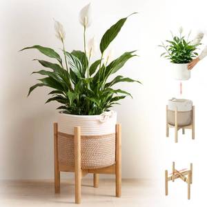 lot 9551 image: ZYWEICH Flower Pot Rattan Plant Stand Planter with Stand, Tall Indoor Boho Woven Wicker Storage Basket with Adjustable Wood Shelf (White & Brown)