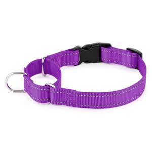 lot 2050 image: PLUTUS PET Reflective Martingale Collar with Quick Snap Buckle,No Pull Dog Choker Collar for Small Medium Large Dogs,M,Purple
