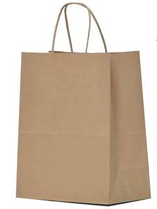 lot 3198 image: Qutuus 10x5x13 Kraft Paper Bags 100 Pcs Kraft Shopping Bags, Paper Gift Bags for Retail, Merchandise, Recycled Bulk Paper Sacks, Brown Paper Bags with Handles Bulk