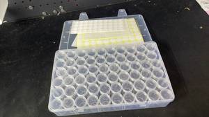 lot 9664 image: 60-Compartment Clear Plastic Storage Container with Screw-Top Jars