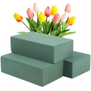 lot 10176 image: CCINEE 3 Pcs Floral Foam Bricks,Mini Florist Flower Foam Green Blocks Supplies for Fresh and Artificial Flower Arrangements Crafts DIY