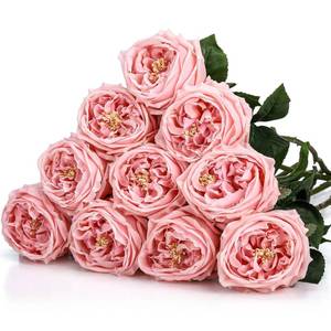 lot 19724 image: Daifunli 10pcs Peonies Artificial Flowers, Faux Austin Rose with Long Stem Look Real Fake Flower for Wedding Vase Party Home Kitchen Arrangement Decor(Pink)