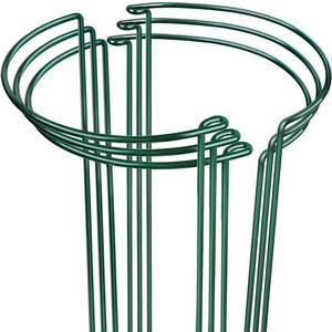 lot 19726 image: LEOBRO Plant Support Plant Stakes, 6pcs Peony Cages and Supports, Metal Garden Stakes Plant Supports, Plant Support Stakes, for Peony, Tomato, Hydrangea, Indoor Outdoor Plants, 10 W x 15.8 H
