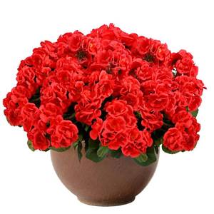 lot 8297 image: Tikroom 3 Pcs Artificial Geranium Flowers for Outdoors Fake Silk Faux Geranium Plant UV Resistant Fake Flowers for Outdoor Planters Garden Windowsill Balcony Courtyard Yard Porch Home Decor