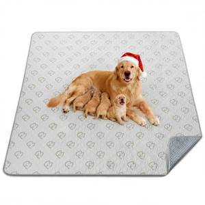 lot 11713 image: FXW Washable Pee Pads for Dogs, Super Absorbent, 63 Square, 1 Pack