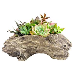 lot 19755 image: Aclema Succulent Planters Driftwood Planter Succulent Pots Small Plant Flower Cactus Pots Tree Stumb Wood Planter with Drainage Hole