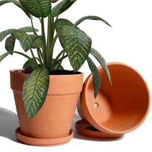 lot 19783 image: vensovo 8 Inch Clay Pot for Plant with Saucer - 2 Pack Large Terra Cotta Plant Pot with Drainage Hole, Clay Planters Pot, Terracotta Pot for Indoor Outdoor Plant
