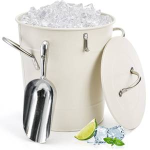 lot 3242 image: YOUEON 4L Ice Bucket with Scoop and Lid, Double Walled Insulated Wine Bucket Chiller with Carry Handles, Beverage Tub for Cocktail Party, Camping, BBQ, Indoor and Outdoor Use, White
