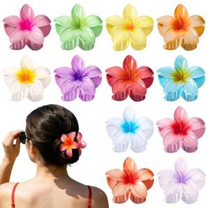 lot 4481 image: 24Pcs Hawaiian Flower Hair Clips for Women, Cute Plumeria Flower Claw Clips