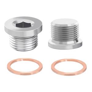 lot 6060 image: Tanbupu 2 Pack M12 X 1.5 Universal Fit with 304 Stainless Steel Sensor Plug Inner Hex Head with Red Copper Washers for Automotive, Car, Bike, Motocycle, ATV, UTV and Other Transportatin