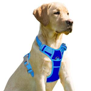 lot 14358 image: BARKBAY No Pull Dog Harness Front Clip Heavy Duty Reflective Easy Control Handle for Large Dog Walking(Sapphire Blue and Blue,M)