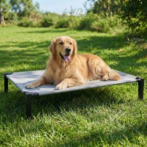 lot 5616 image: Elevated Dog Bed Raised Cooling Dog Cot for Large Dogs, Portable Indoor & Outdoor Pet Bed with No-Slip Feets Breathable Mesh Pet Bed for Camping Outdoor