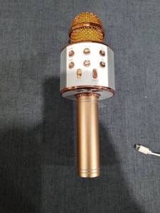 lot 2938 image: Handheld KTV WS-858 Wireless Microphone HiFi Speaker
