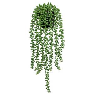 lot 73379 image: Fake Plants Indoor Artificial String of Pearls Plant in Black Pots, Realistic Green Faux Succulent Hanging Plants for Shelf Decor Desk Home Garden Decorations - Retail $10