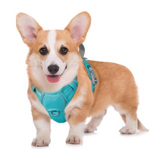 lot 73502 image: BARKBAY No Pull Dog Harness Large Reflective Dog Harness with Front Clip and Easy Control Handle for Walking Training Running with ID tag Pocket(Ocean Blue,M) - Retail $29