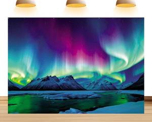 lot 6911 image: 9x6ft Northern Lights Backdrop for Party Birthday Photo Booth Studio