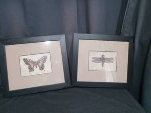 lot 6863 image: Set of 4 Framed Insect Prints Butterfly Dragonfly Black Frames