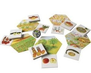 lot 16468 image: Where Does Food Come From Childrens Card Game