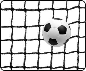 lot 524 image: Amazgolf 10 X 40ft Soccer Backstop Net, High Impact Sports Practice Barrier Netting, Nylon Soccer Ball Hitting Netting - Retail $74