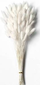lot 617 image: White Dried Pampas Grass Decor, 17-inch Pompas Floral, Dry Flowers for Decoration, Pampas Grass in Bulk Tall, White Bunny Tails Dried Flowers for Boho Wedding - Retail $10