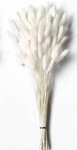 lot 635 image: White Dried Pampas Grass Decor, 17-inch Pompas Floral, Dry Flowers for Decoration, Pampas Grass in Bulk Tall, White Bunny Tails Dried Flowers for Boho Wedding - Retail $10