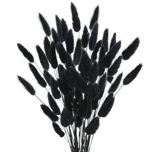 lot 636 image: Uieke 17���� Natural Bunny Tails Dried Flowers, Dried Lagurus Ovatus, Dried Black Pampas Grass Decor for Farmhouse Flower Arrangements Wedding Home Craft Boho Party Decorations - Retail $10