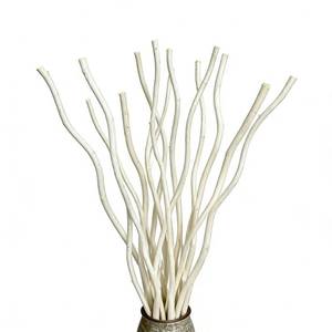 lot 640 image: Dried Curly Willow Branches, 15 Stems Dried Twigs Sticks 18-19 Decorative 100% Natural Birch Branches for Vases, DIY, Floral Arrangement, Centerpiece, Rustic Home Decor, White - Retail $18