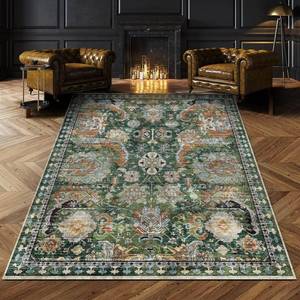 lot 864 image: RUGSURE Washable Area Rugs - Perfect for Living Room, Bedroom, Kids Room, Nursery - Stain & Water Resistant Non-Slip, Pet & Child Friendly, Vintage Tribal Area Rugs (Green, 5 x 7) - Retail $27