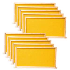 lot 866 image: BeeCastle 10 Pack Beehive Frames and Wax Foundations for Deep Brood Bee Hives with Honeycombs Wooden Bee Hive Frames and Beeswax Coated Foundations, 9-18-Inch (Yellow) - Retail $35