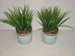 lot 104 image: Faux Plants & Florals, Set of 2 Green Grass Potted Plants in Light Blue Ceramic Pots