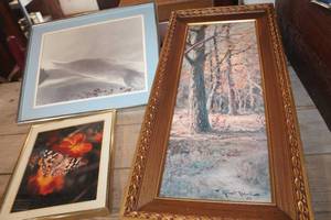 lot 2559 image: Various Sized Home Dcor Flower Pictures